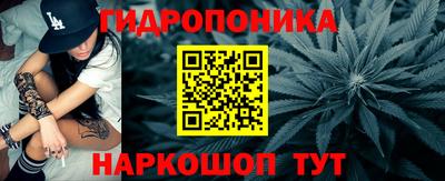прущие грибы Будённовск