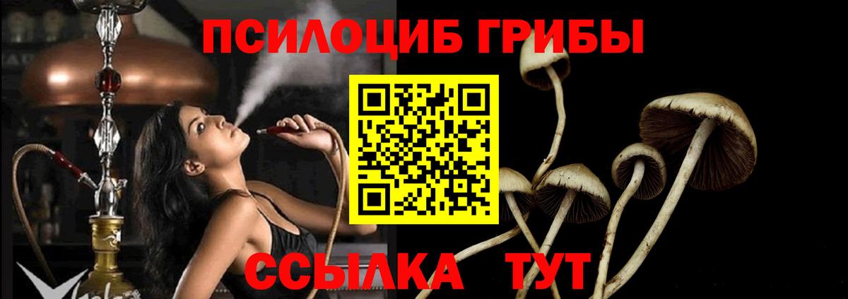 Галлюциногенные грибы Cubensis Можайск